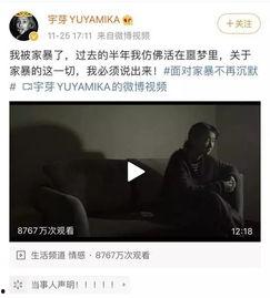 徐子蜜被爆料家暴视频,真相与反思